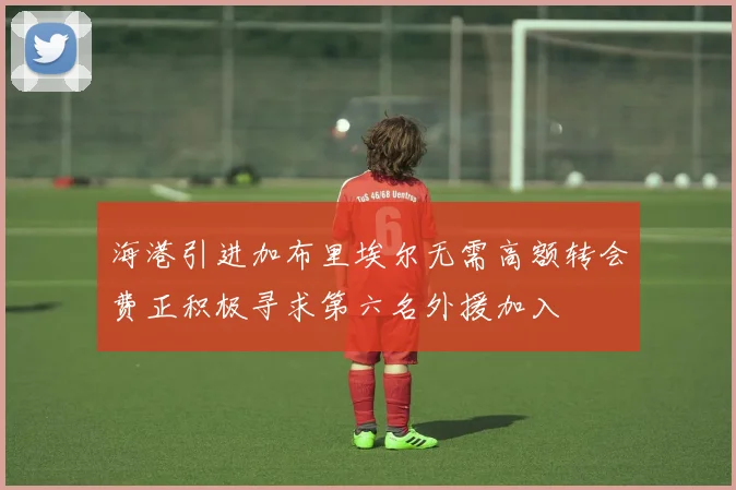 海港引进加布里埃尔无需高额转会费正积极寻求第六名外援加入