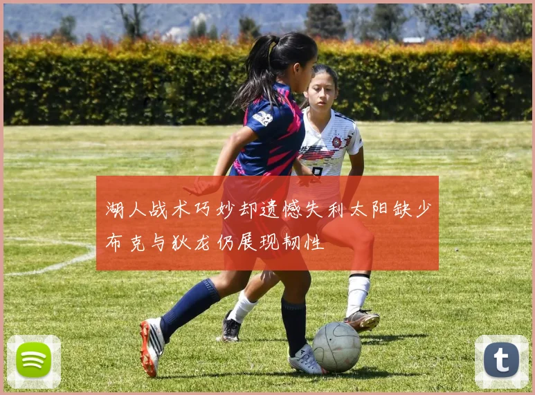 湖人战术巧妙却遗憾失利太阳缺少布克与狄龙仍展现韧性
