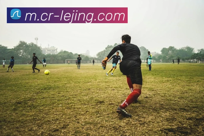 乐竞体育平台生态图