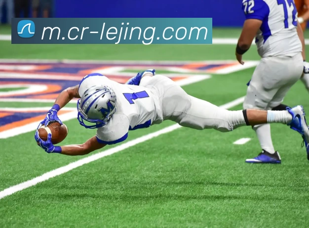 乐竞体育APP 封面图